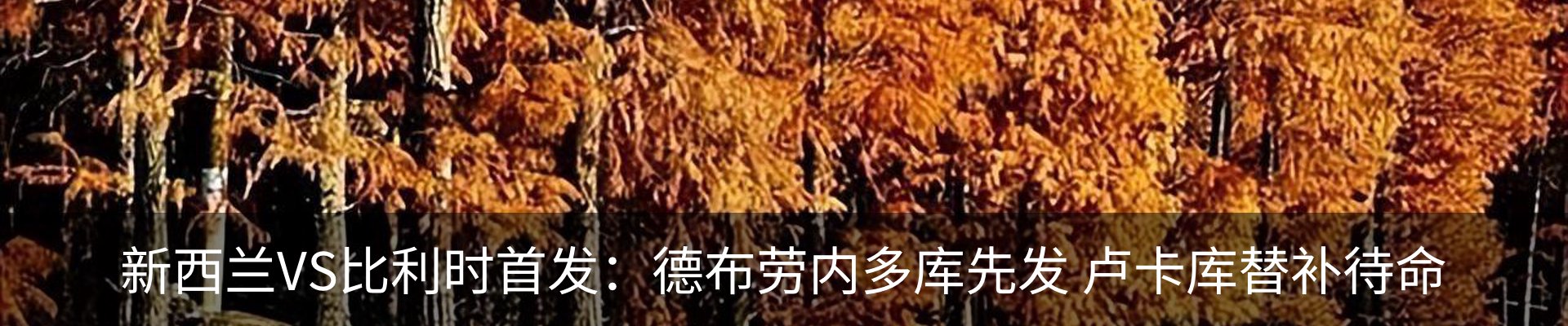 内页banner